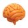 brain